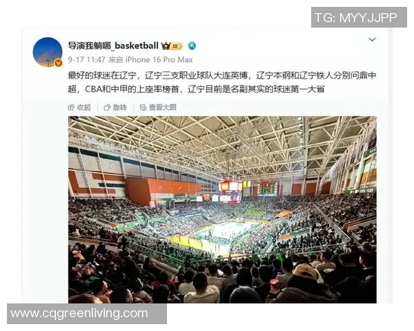 2017年CBA季后赛吉林队对阵辽宁队的精彩对决回顾与分析