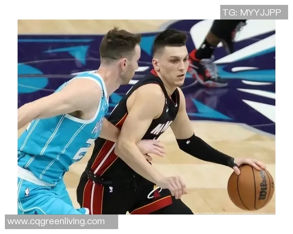 2004年NBA季后赛热火对阵黄蜂精彩录像回顾与分析 2004年NBA季后赛热火对阵黄蜂精彩录像回顾与分析