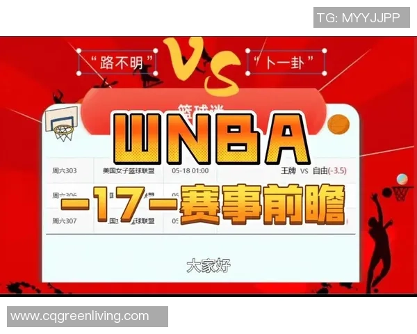 WNBA水星队与天空队对决分析及比赛展望