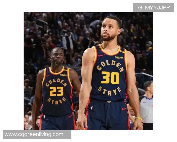 勇士与奇才2015至2016赛季精彩对决回顾与分析