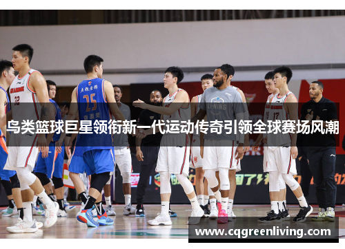 鸟类篮球巨星领衔新一代运动传奇引领全球赛场风潮