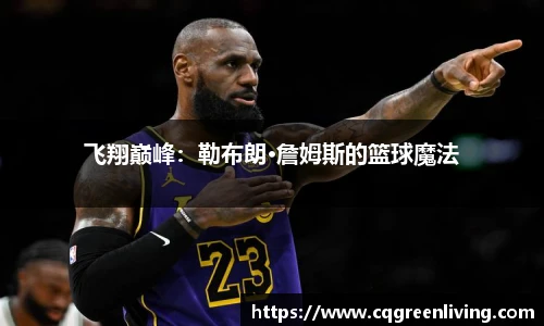 飞翔巅峰：勒布朗·詹姆斯的篮球魔法
